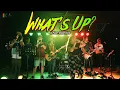 What's Up? - 4 Non Blondes | Kuerdas Reggae Cover | Live Gig