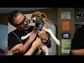 Changing Lives in McAllen One Paw at a Time