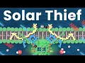 Download Lagu This Chemical Steals Sunlight to Power All Life on Earth: Photosystem II