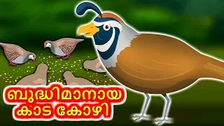 Download ബുദ്ധിമാനായ കാട കോഴി | Bhudimaanaya Kada Kozhi | A Wise Quail | Moral Stories in Malayalam MP3