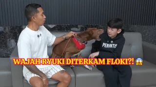 WAJAH RYU KINTARO DITERKAM FLOKI?! 😱