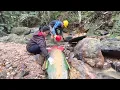 Download Lagu PENEMUAN LUAR BIASA..!!! PENEMUAN EMAS ASLI TERBAIK DI SUNGAI PEGUNUNGAN