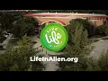 Live LIFE in Allen at Don Rodenbaugh Aquatic Center