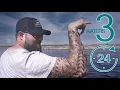 DSH - 24 Hours 3 Waters