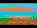 Bay Ledges - INSTRUMENTAL 2_ (Official Music Video)