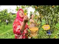 Download Lagu Panen Jeruk Nagami | ENAH BIKIN ENAK (25/08/25)