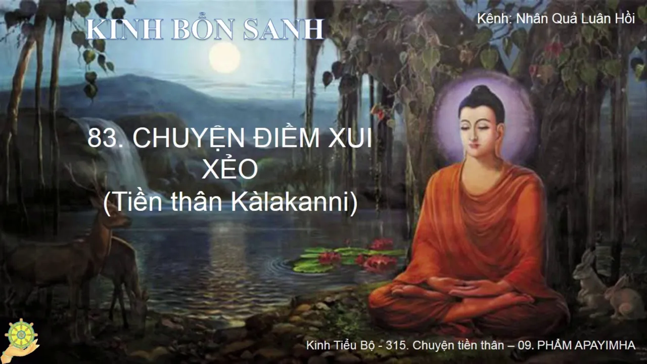 83 Truyện ÐIỀM XUI XẺO Tiền thân Kàlakanni K.Bổn Sanh, Bổn Sự 