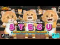 Download Lagu VELOCITY STECU NONA AMBON PICA PICA VIRAL TIKTOK VERSI KUCING JOGET TERBARU