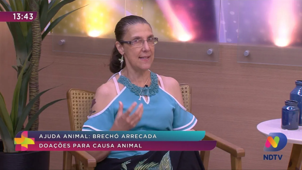 Pet News: voluntários arrecadam doações para brechó solidário