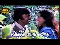 Lagu சங்கத்தில் பாடாத கவிதை உன் அங்கத்தில்....| Vijayakanth | Gayathri | Ilaiyaraaja | Raj 4K Songs