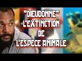 Download Lagu THE EXTINCTION OF THE ANIMAL SPECIES - DIEUDONNE - THE ULTIMATE GENIUS