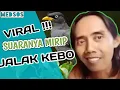 Download Lagu Viral !!! Suara gacor jalak kebo
