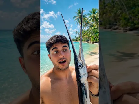 Pesco PEZ con DIENTES de Cocodrilo Pesca y Cocina #peces #playa