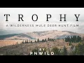 Mountain Mule Deer Hunting film - By PNWild
