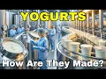 How Yogurt Is Made - The Bacteria You Eat on Purpose