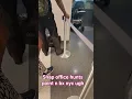 ebt snap line