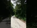 Download Lagu askes jalan menuju desa BATU RAYA, Buntok Kalimantan Tengah ...