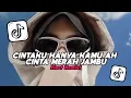 Download Lagu DJ CINTAKU HANYA KAMU AH CINTA MERAH JAMBU SOUND VIRAL FYP TIKTOK TERBARU 2025! Elart Remix!