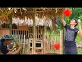 Download Lagu CEO Returns to Restore an Abandoned House | Days 5-8 Self-Sufficient Living in the Forest