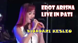 Download Romansa - Bidadari Kesleo - Edot Arisna - Live in Pati MP3