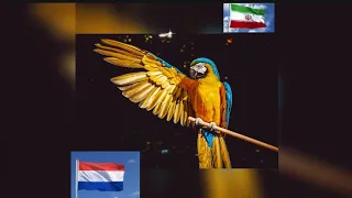 آموزش حروف الفبا به فارسی از الف تا ی دندنها