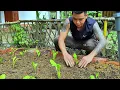 Building Bamboo Feeders & Living a Simple Life on My Mountain Farm