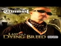 Download Lagu Mr.Criminal - Bounce (New 2013)