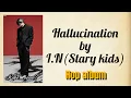 Lagu Stary kids _스트레이 키즈 _ I.N Hallucination _ easy lyrics _ Hop album