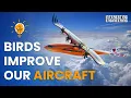 Download Lagu What Birds Have Taught Us In Aviation