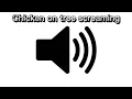 Chicken on tree screaming viral sound effect Meme sound