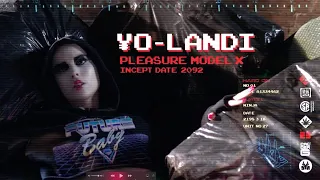 die antwoord future baby official music video 