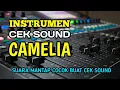 instrumen dangdut CAMELIA || cocok buat cek sound