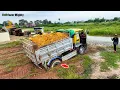 Download Lagu Incredible! Dump Truck stuck, Processing Filling Up The Land huge, Bulldozer KOMATSU D31P