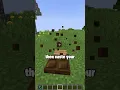 Minecraft Fishing Rod Teleport Tutorial