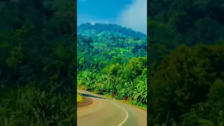 New Oromo Music Sona Takele Africa Warra Nubia 2025 Habesha Oromocomedy Greenscreen Duet 