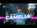 Lagu CAMELIA MAAFKANLAH AKU - OJOL RIZAL PAHLEVI