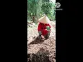 Download Lagu Jangan Dihina, Inilah Aku Apa Adanya😭😭