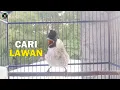 Lagu burung kutilang BAHAN, OMBYOKAN Langsung NYAUT dan GACOR Dengan PANCINGAN Kutilang GACOR Ini