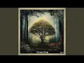 Download Lagu Under the Jacaranda Sky