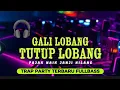Download Lagu DJ GALI LOBANG TUTUP LOBANG PAJAK NAIK JANJI HILANG PARTY X NROTOK - RAP POP DJ REMIX MELAYU