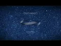 Gustavo Cerati - Sudestada (Lyric Video)