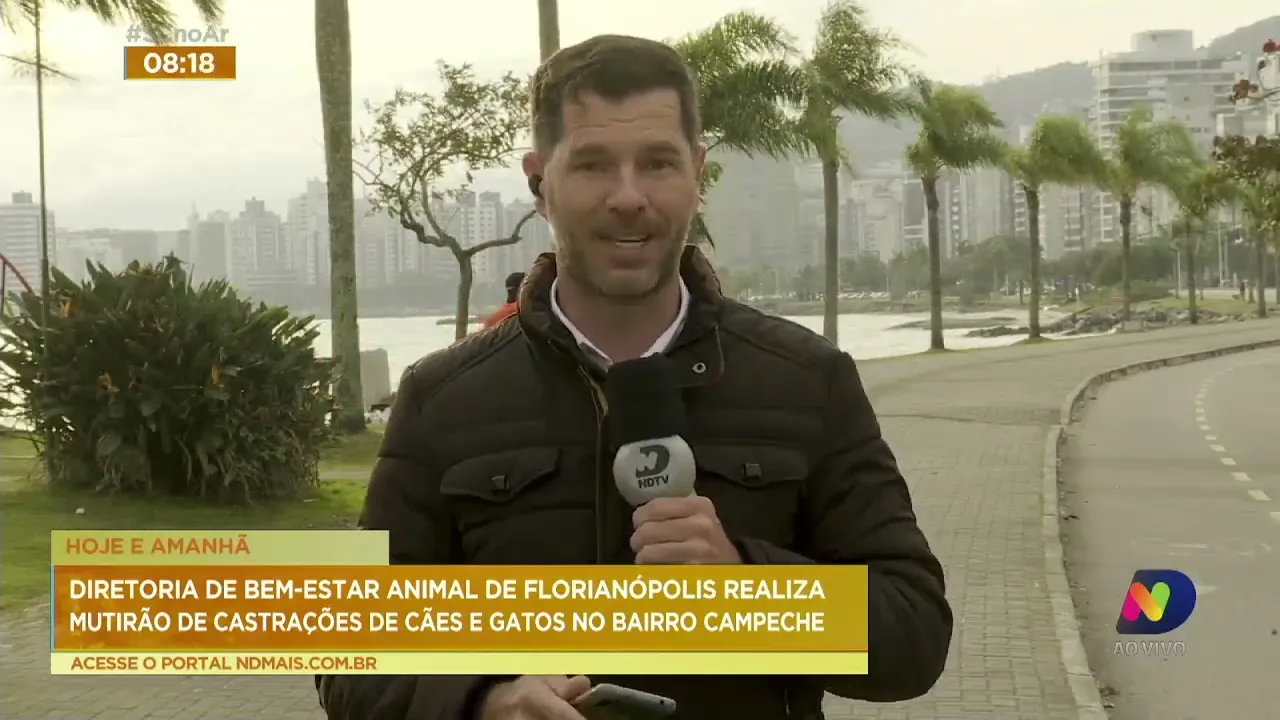 Diretoria de Bem-Estar Animal de Florianópolis realiza mutirão de castrações de cães e gatos