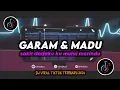Download Lagu DJ Sakit Dadaku Ku Mulai Merindu | Garam Dan Madu Remix Viral TikTok Terbaru 2024 Full Bass