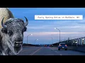 Late Winter Early Spring Drive in Buffalo NY Real-Time Traffic Street Views March 2026