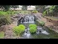 I Found a Garden in the Middle of an Airport 🌿 | Honolulu Airport Surprise