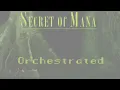 Secret of Mana Orchestrated - Phantom and a Rose