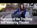 Features of the TruDrop Self Watering Planter