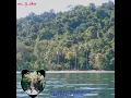 Download Lagu ✔️_Lagu_Balengan_viral_2025_kenangkan_boleh,,✔️