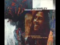 Bob Marley  Waiting In Vain Dub