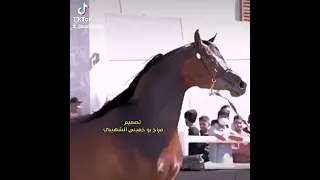 طعم الدوا مر ياطبيب دندنها